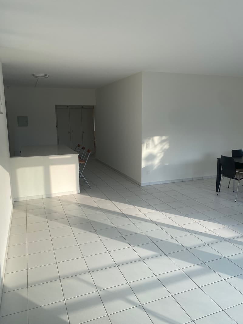 Luminoso appartamento di 3.5 locali a Muralto (7)
