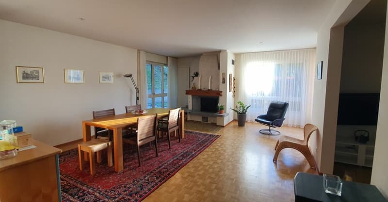 Belle maison dans un quartier résidentiel (6)