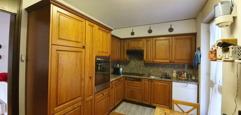 Belle maison dans un quartier résidentiel (7)