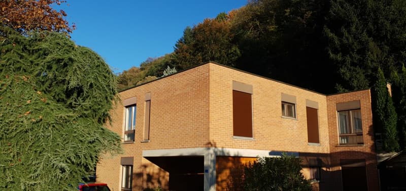 Belle maison dans un quartier résidentiel (2)