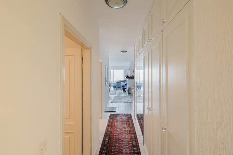 Appartement merveilleux au-dessus du lac de Lugano (14)