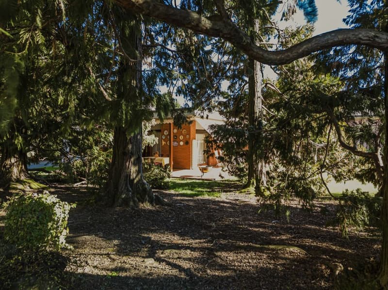 Beautiful villa immersed in its own park (5)