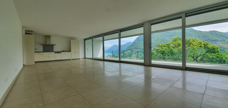 Stupendo e ampio attico con vista sul Lago di Lugano (4)