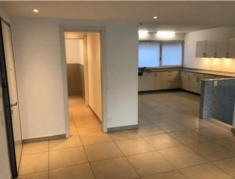 Duplex fabuleux et spacieux avec vue sur le lac de Lugano (5)
