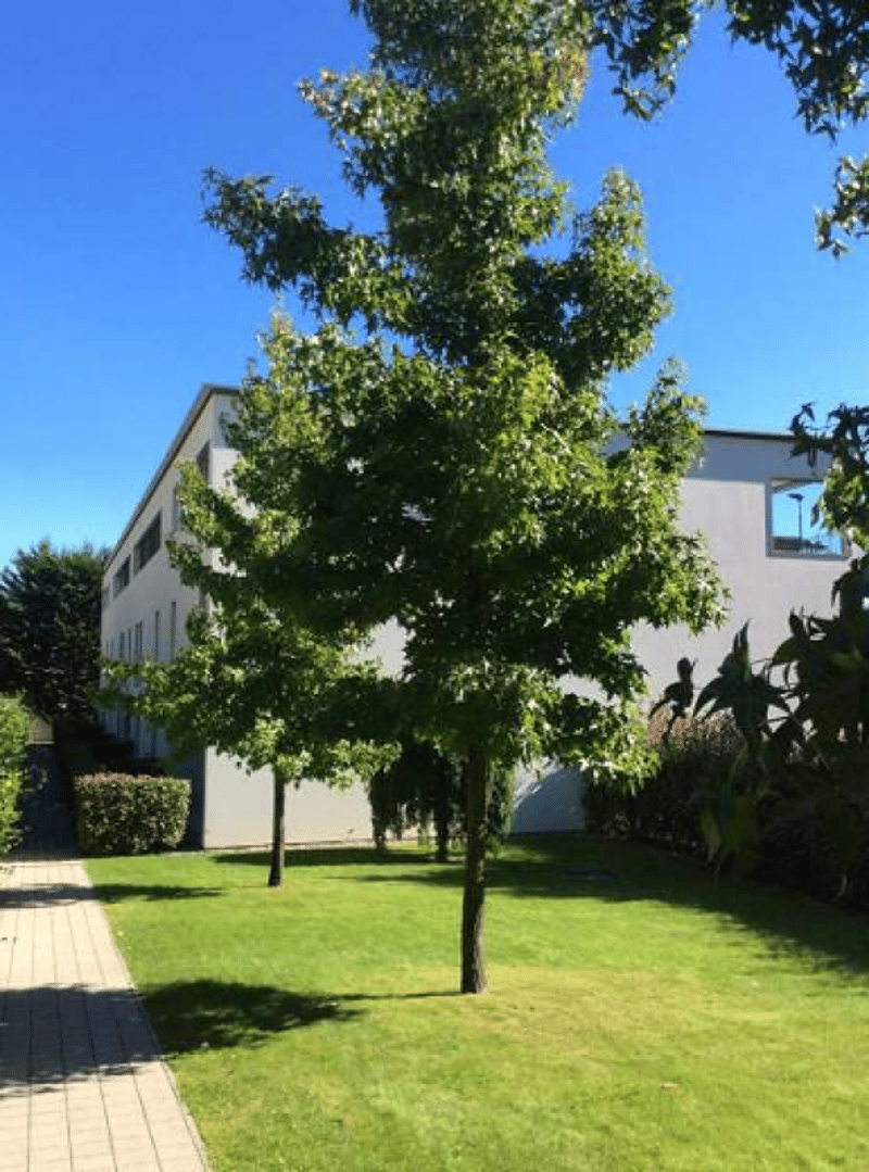 Duplex fabuleux et spacieux avec vue sur le lac de Lugano (3)