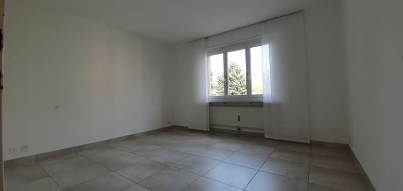 Appartement lumineux et bien structuré (9)