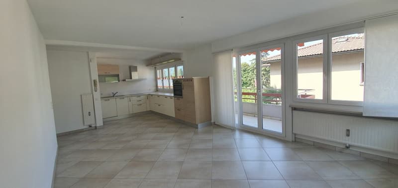 Appartement lumineux et bien structuré (1)
