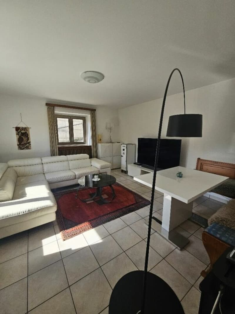 2,5 locaux - au rez-de-chaussée avec jardin condominial (2)