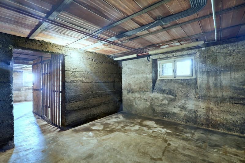Villa de style Liberty avec jardin et trois unités d'habitation - idéale également comme investissement (15)