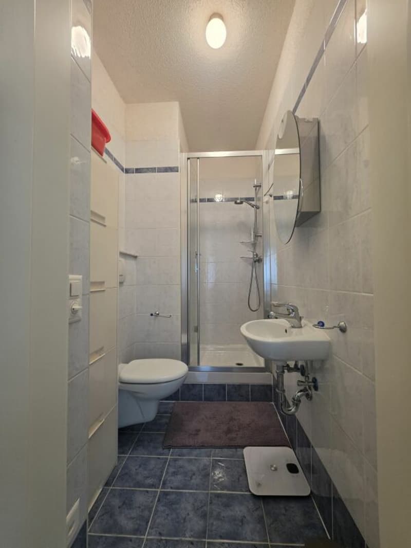Appartement meublé dans un excellent emplacement (6)
