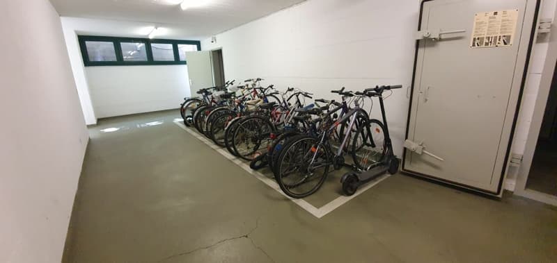 Stabio: appartamento nel verde e nella tranquillità (13)