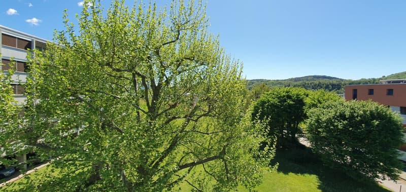 Stabio: appartamento nel verde e nella tranquillità (15)
