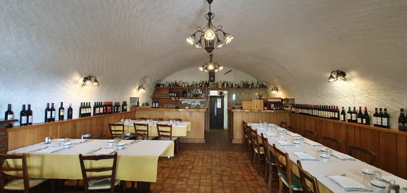 Grotto Bundi alle cantine di Mendrisio - acquistabile con rent to buy! (6)