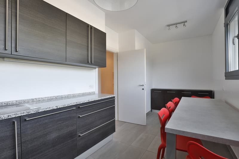 modern kitchen, dark cabinets, granite countertop, red chairs, white door, sink