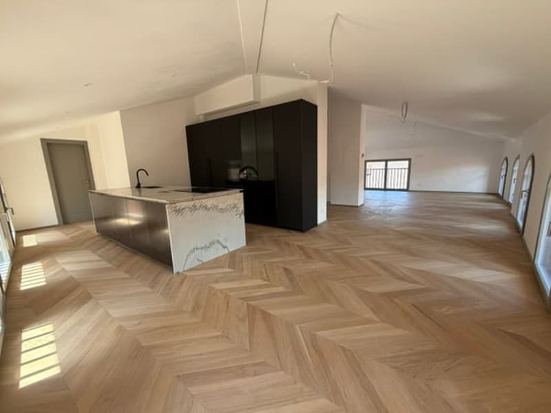 Attico di Lusso in meraviglioso edificio storico (3)