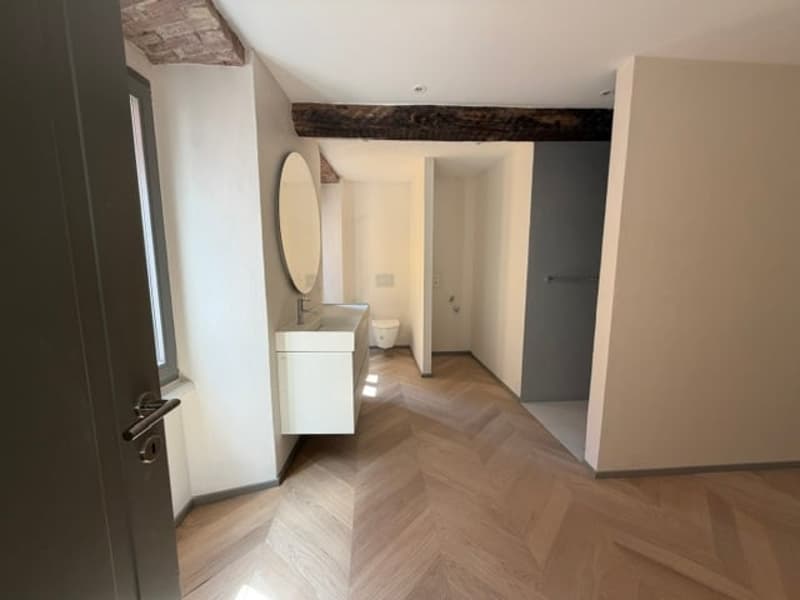 Appartamenti di charme in meraviglioso edificio storico (4)