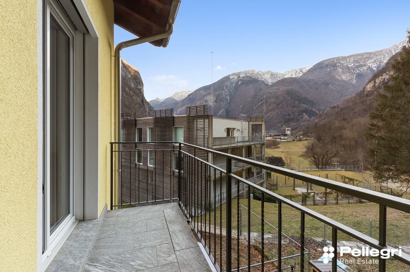Balcony with a view of the mountains, apartment building with wooden slatted railings, grassy area in the foreground