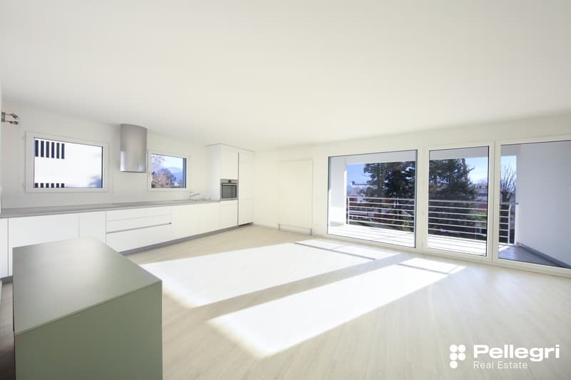 Contemporary interior, open floor plan, white walls, sliding doors to balcony, modern kitchen with integrated appliances, large windows, parquet flooring