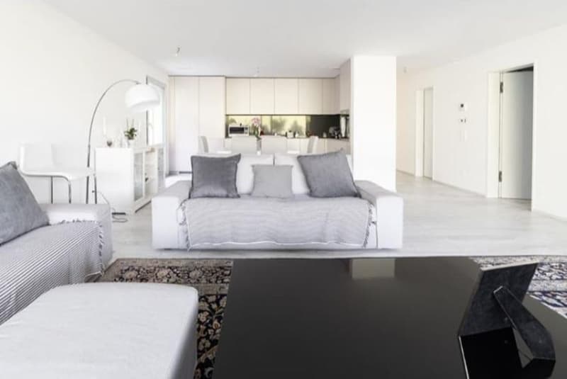 Modern 4.5 rooms with garden! (3)