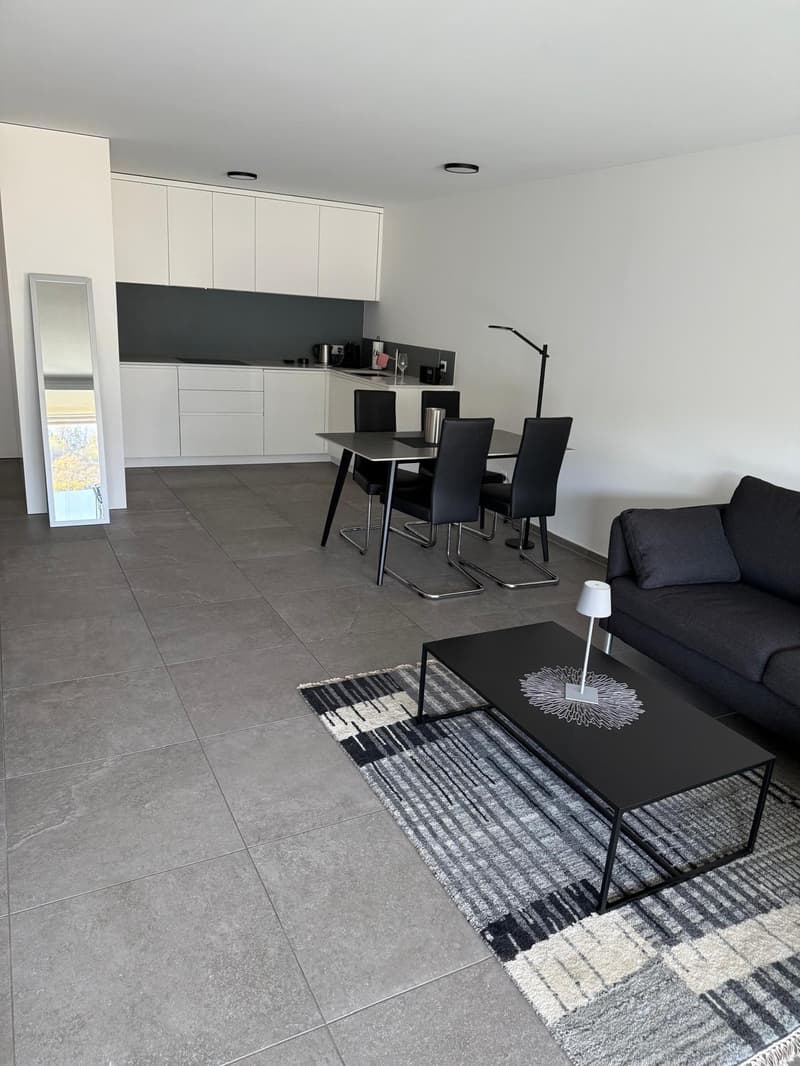 Residenza 96 - app. di 2.5 locali con vista aperta (4)