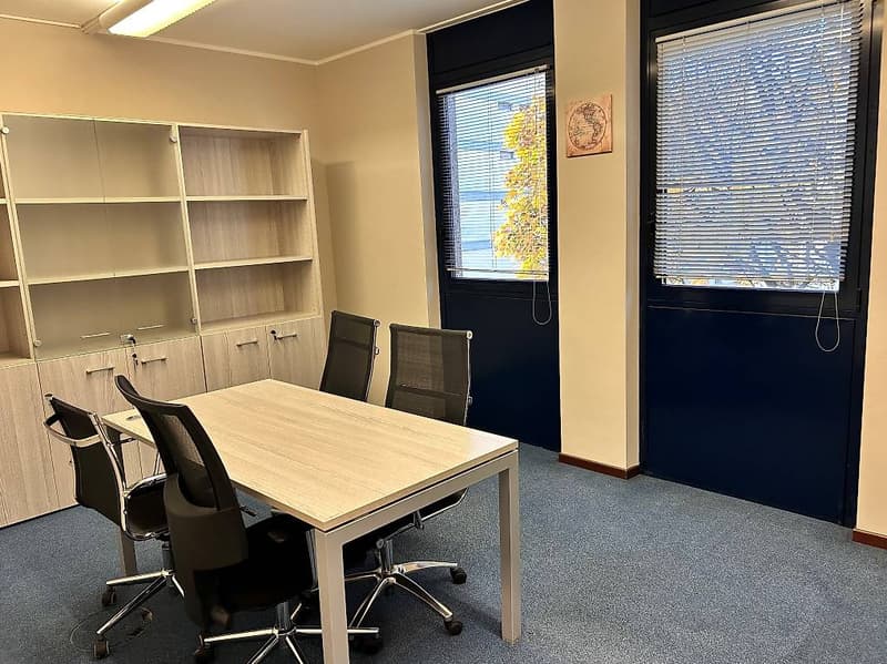 Furnished office for rent – Palazzo PiGreco, Via Bagutti 14 (1)