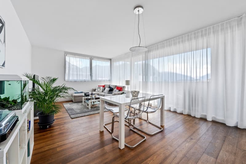 Dachgeschoss in Lugano Stadtzentrum zum Verkauf (6)