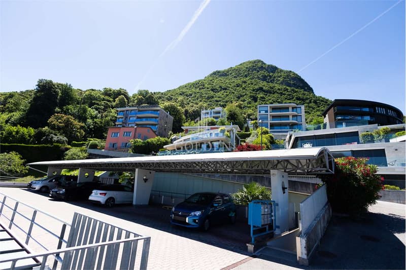 Paradies, komfortables 5.5-Zimmer-Haus mit privatem Garten und Seeblick (1)
