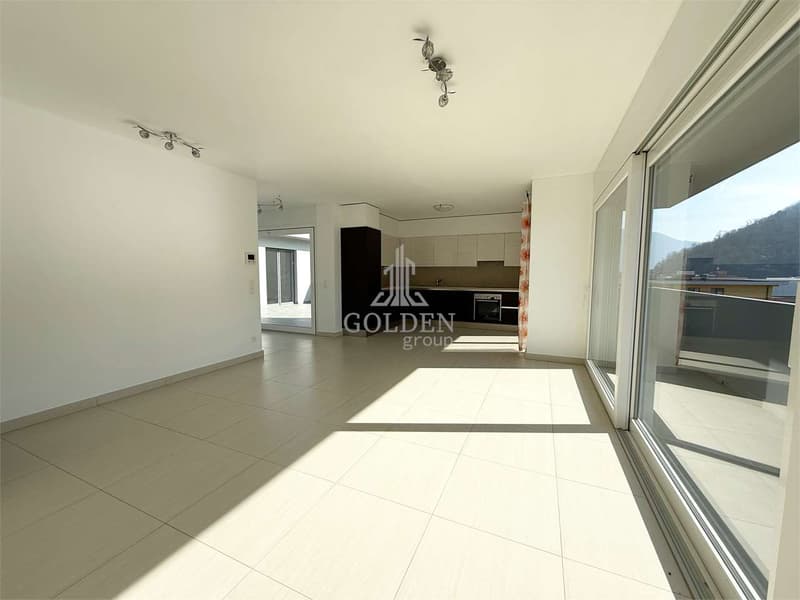 4.5 rooms with large panoramic terrace and private access to the floor (5)