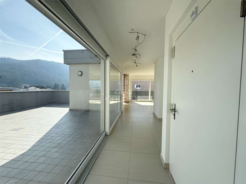 4.5 rooms with large panoramic terrace and private access to the floor (2)