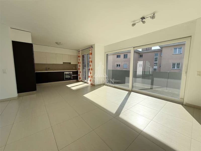 4.5 rooms with large panoramic terrace and private access to the floor (4)