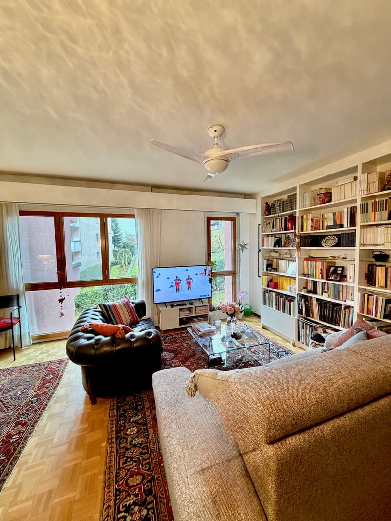 Living room with two sofas, coffee table, TV, bookshelves, ceiling fan, rugs, and large windows