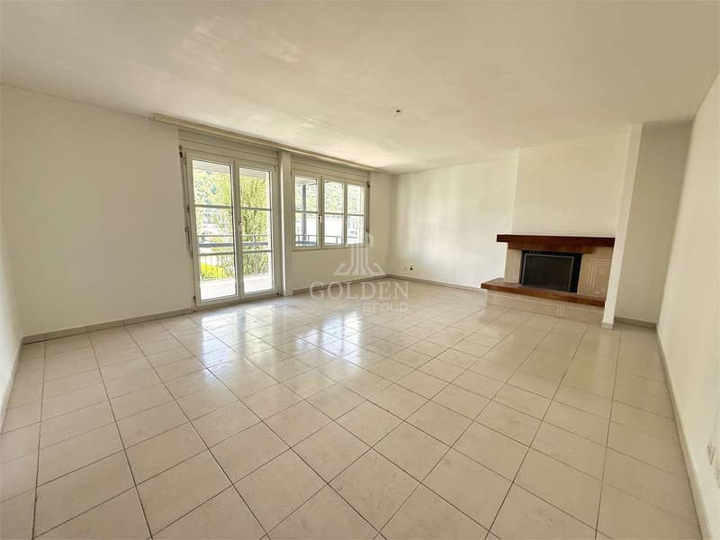 Spacious 4.5-room apartment with fireplace and large terrace (2)