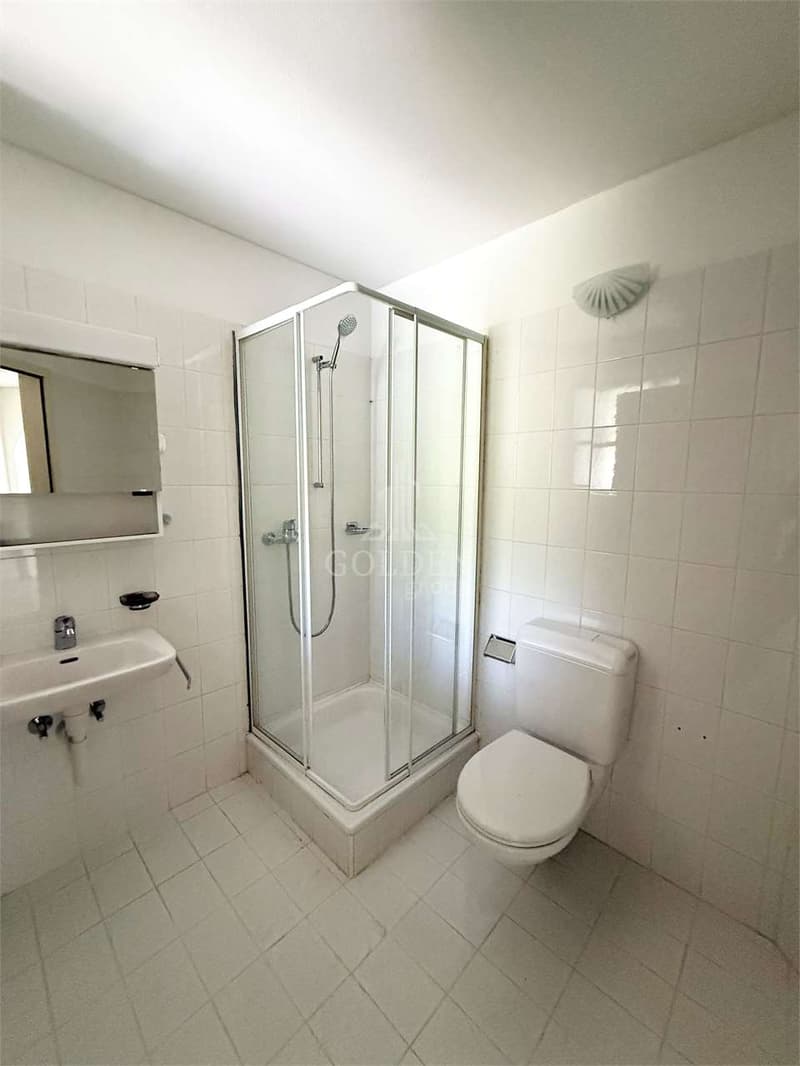 Spacious 4.5-room apartment with fireplace and large terrace (8)