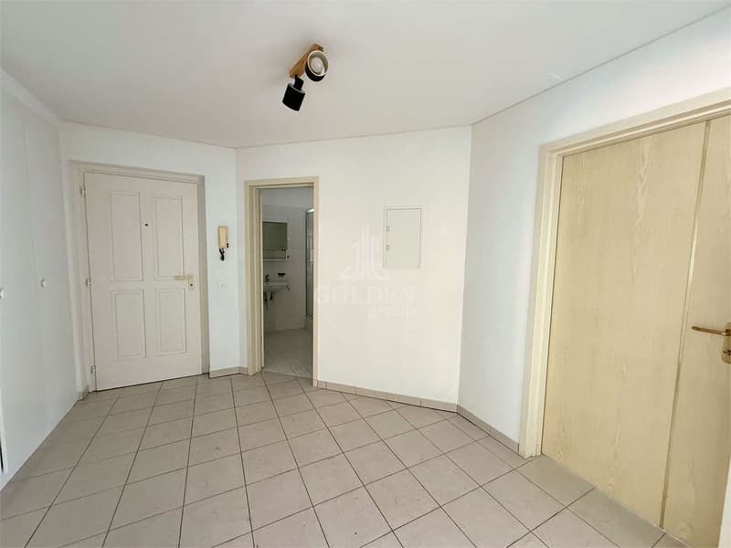 Spacious 4.5-room apartment with fireplace and large terrace (6)
