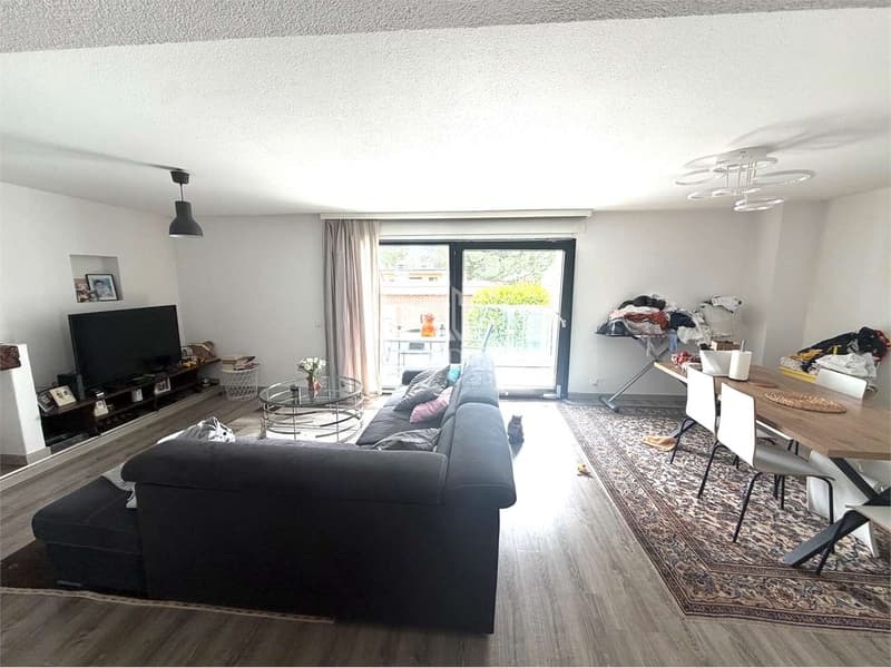 Belle maison de 5.5 pièces avec terrasse panoramique et unité indépendante (6)