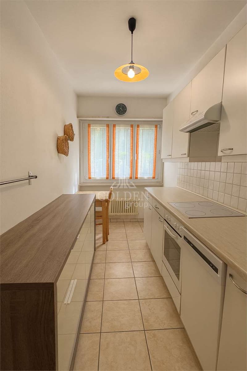 Excellent investment just a few steps from the lake (6)
