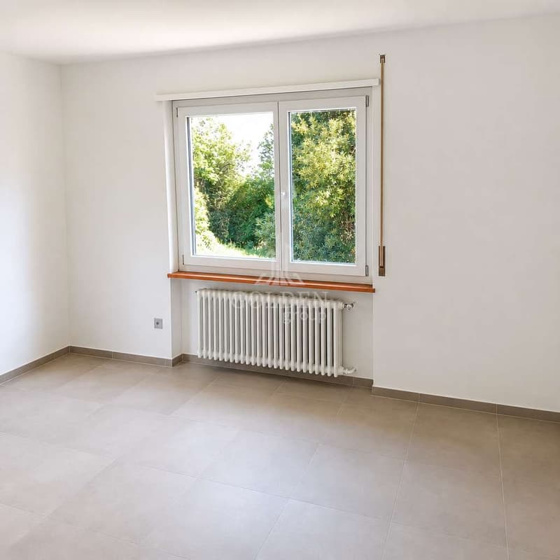 Spacious 4.5-room apartment with private garden in Tremona renovated (7)