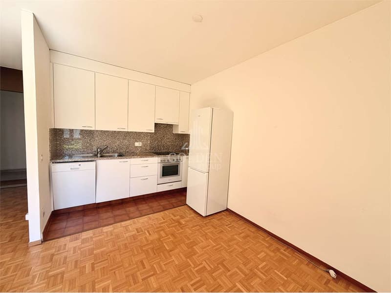 Two-room apartment in residential area Breganzona (6)