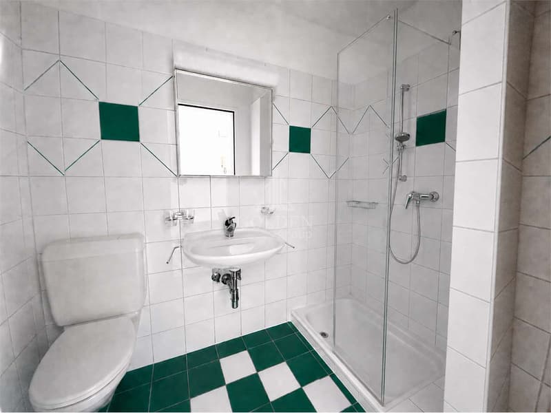Ampio 4.5 locali con giardino privato e terrazza coperta (12)