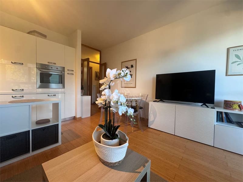 Bissone - 2.5 locali con terrazza e vista lago (3)