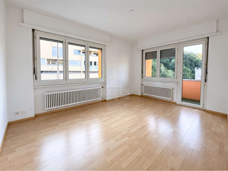 Pazzallo - 2.5 locali con balcone (4)