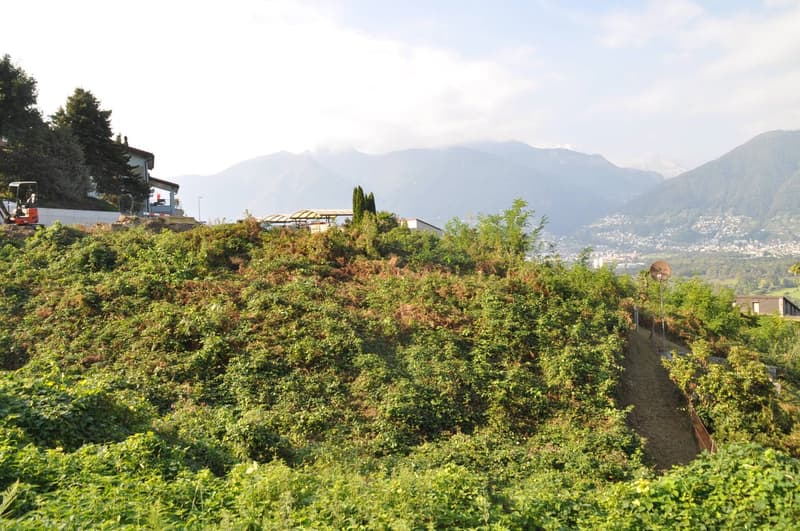 Ampio terreno edificabile (3)