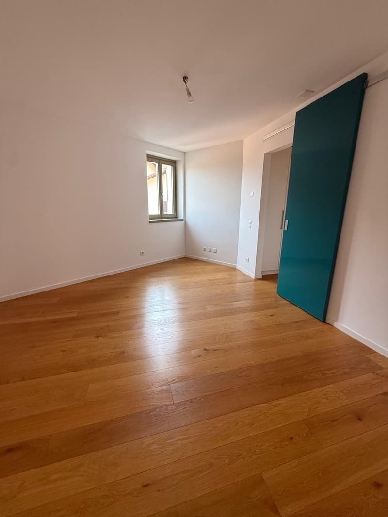 2.5 locali completamente rinnovato a Breganzona – luminoso, tranquillo e ben servito (19)