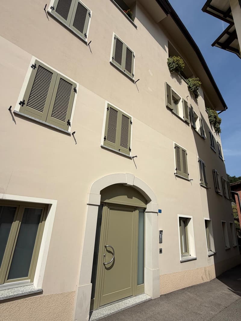 2.5 locali completamente rinnovato a Breganzona – luminoso, tranquillo e ben servito (16)