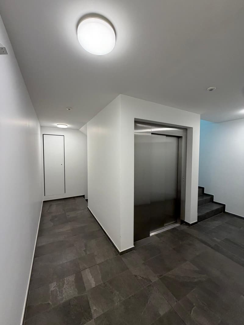 2.5 locali completamente rinnovato a Breganzona – luminoso, tranquillo e ben servito (15)