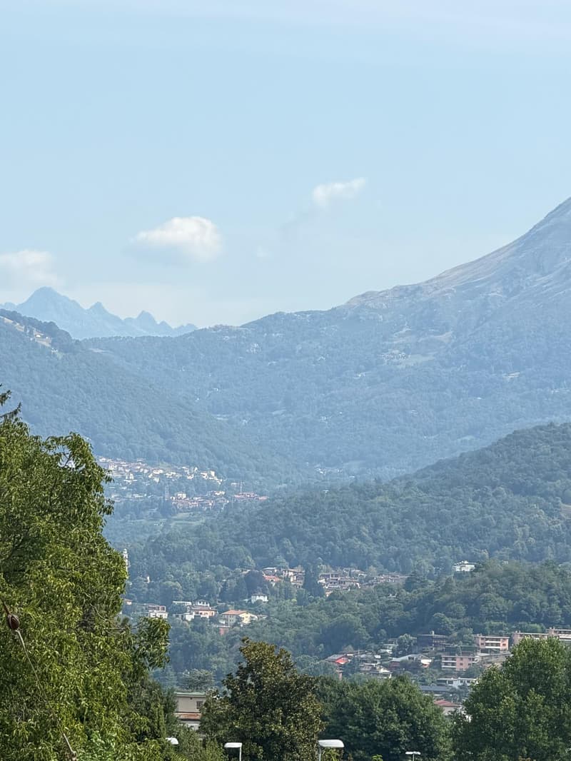 2.5 locali completamente rinnovato a Breganzona – luminoso, tranquillo e ben servito (2)