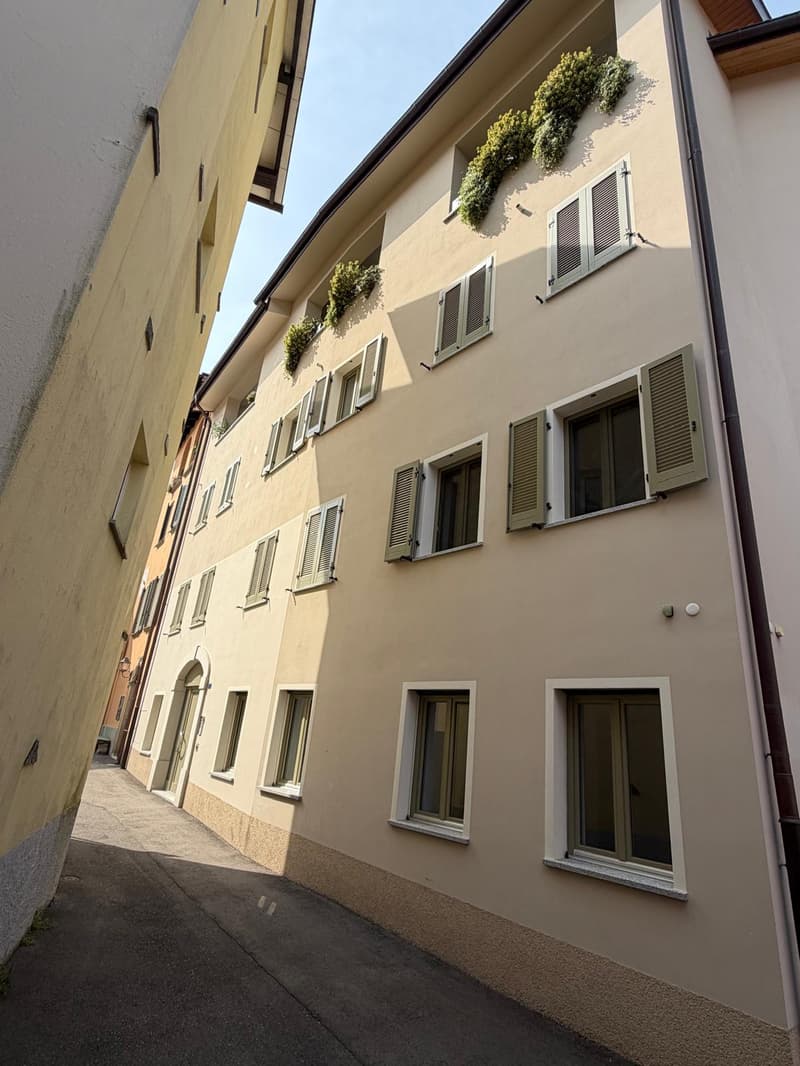 2.5 locali completamente rinnovato a Breganzona – luminoso, tranquillo e ben servito (18)
