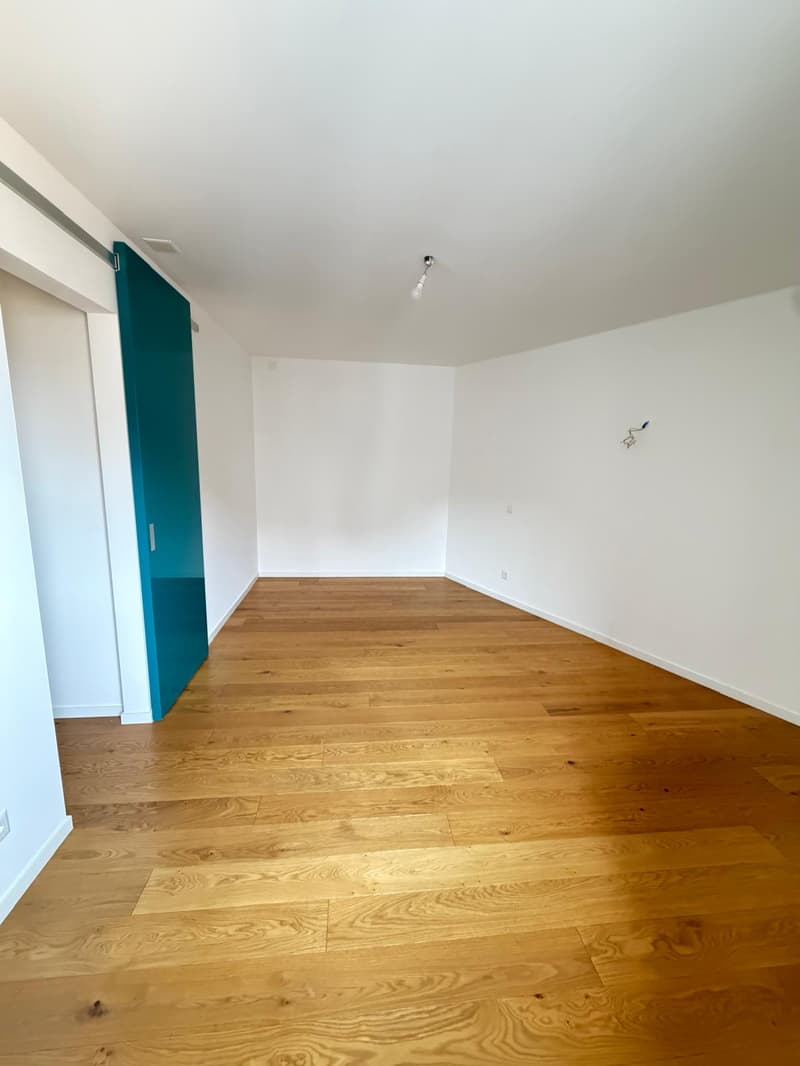 2.5 locali completamente rinnovato a Breganzona – luminoso, tranquillo e ben servito (11)