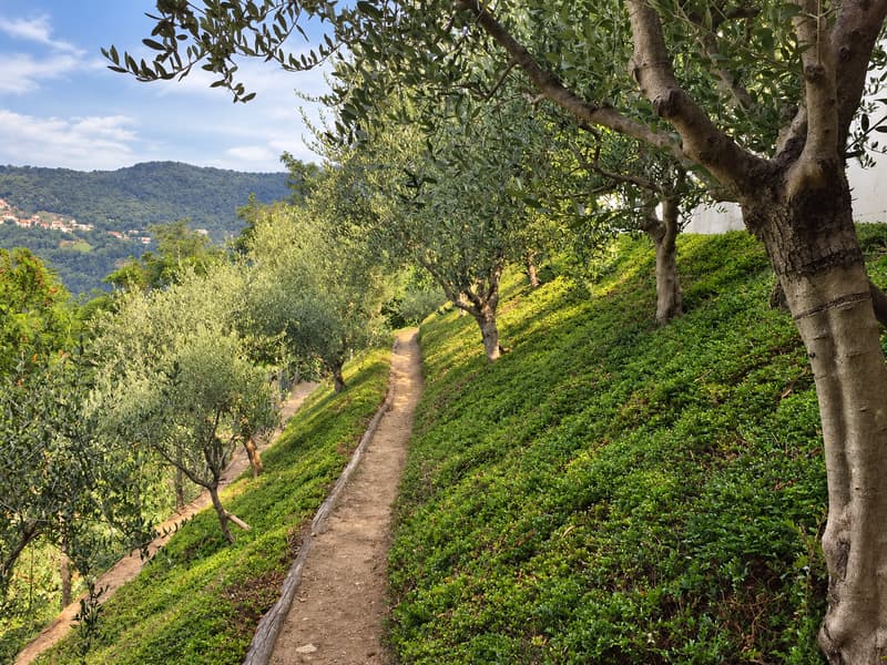 Elegante villa con vista panoramica sul lago, piscina a sfioro e giardino privato. (8)