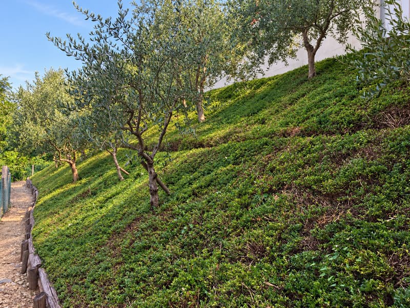 Elegante villa con vista panoramica sul lago, piscina a sfioro e giardino privato. (34)
